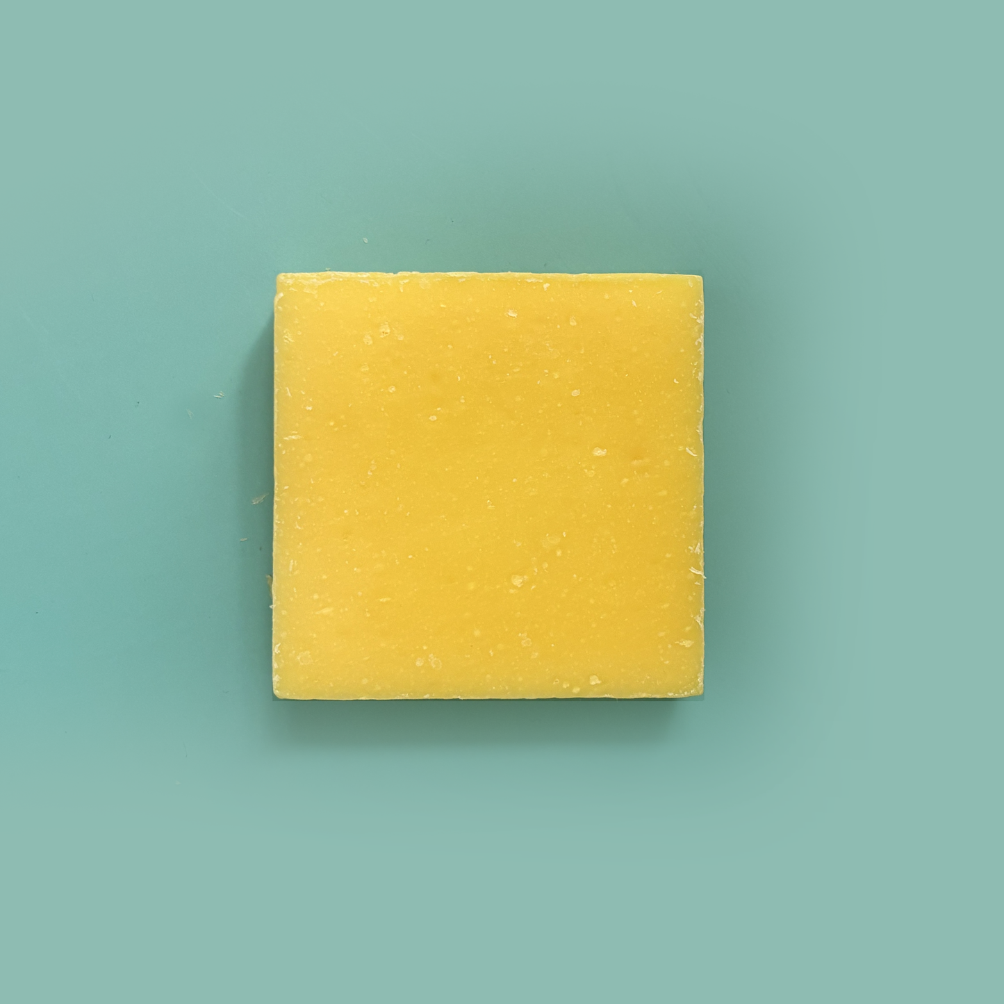 Sour Puss Lemon Zest Artisan Soap Bar